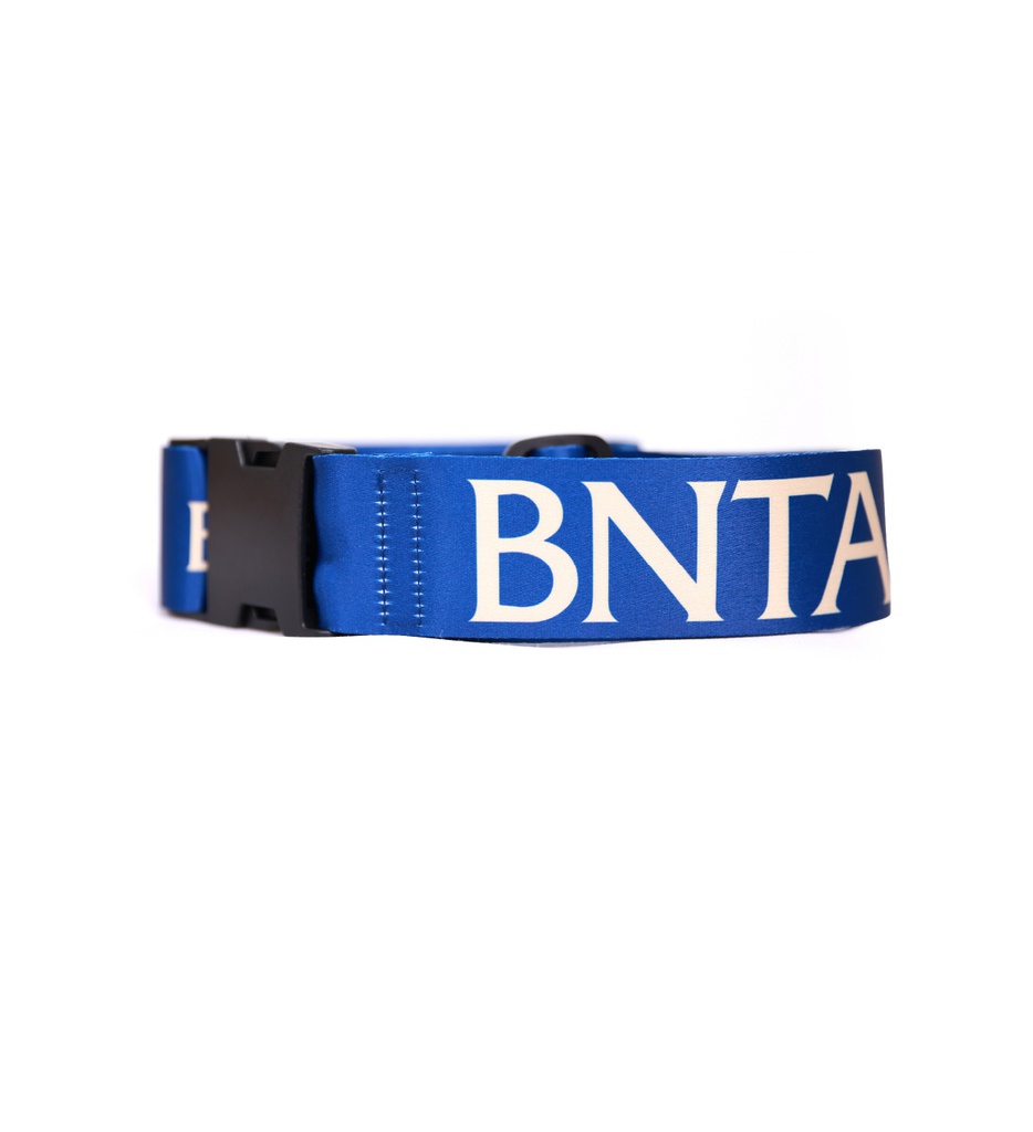 Luggage Strap